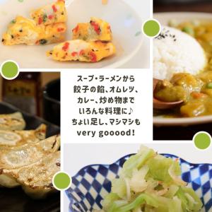 乾燥野菜 乾燥きゃべつ Lサイズ品 4cmカッ...の詳細画像5