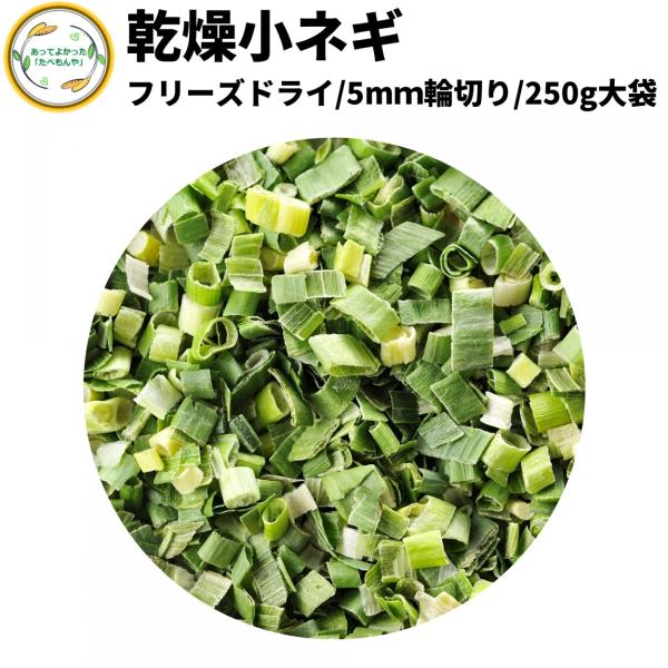 乾燥野菜 乾燥こねぎ 5mm輪切り品 250g 契約栽培 フリーズドライ製法 送料無料 仕送り 一人...