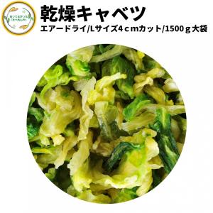 乾燥野菜 乾燥きゃべつ Lサイズ品 4cmカット 1.5Kg 契約栽培 エアードライ製法 送料無料 仕送り 一人暮らし 常備菜 時短 お手軽 非常食 即席みそ汁｜a-y-t-y