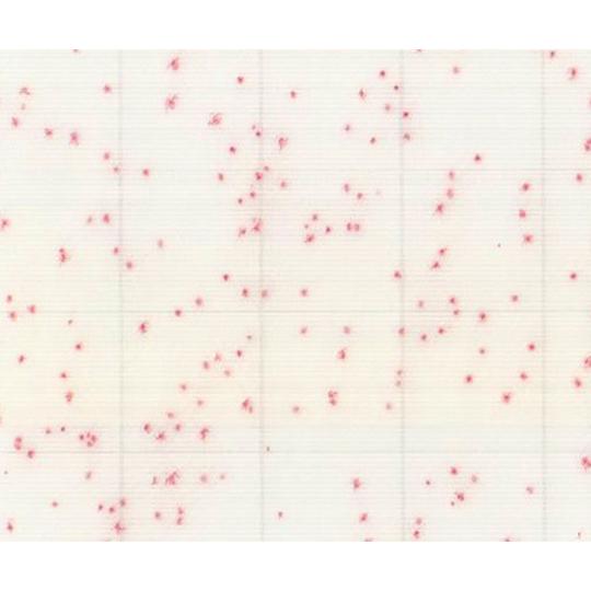 MC-Media Pad ACplus R-AC 一般生菌用迅速/一般生菌用 兼用 1000枚 JN...