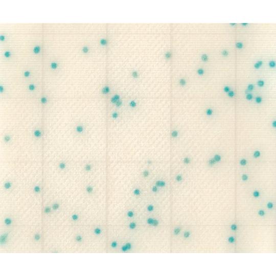 MC-Media Pad CC 大腸菌群用 100枚 JNC SK02B25 (2-5838-22)