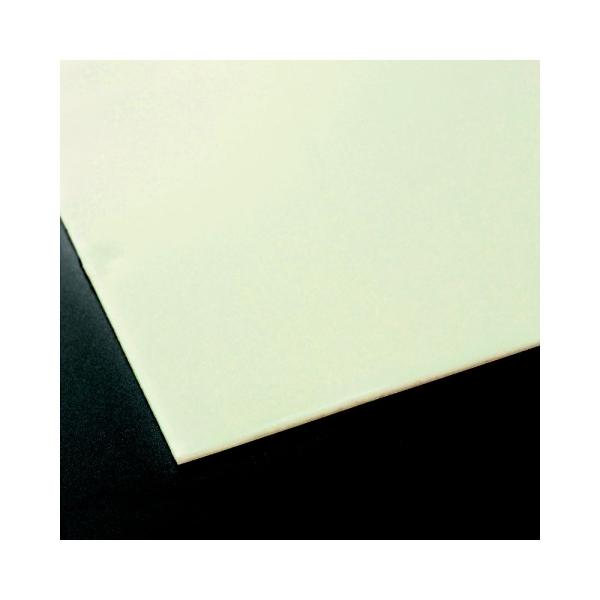 人肌TMのゲルシート 400×400×10.0t アスカーC0 エクシール HS01-32005 (...