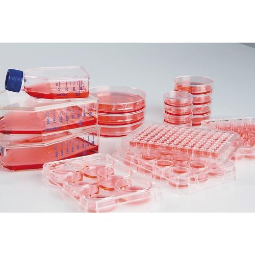 細胞培養プレート Nunclon TM Sphera TM 96穴丸底プレート 1箱 1個×8袋入