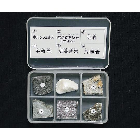 東京サイエンス 岩石標本 岩石標本変成岩6種 (3-657-03)