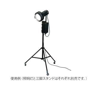 人工太陽照明灯 500Wシリーズ セリック X...の詳細画像3