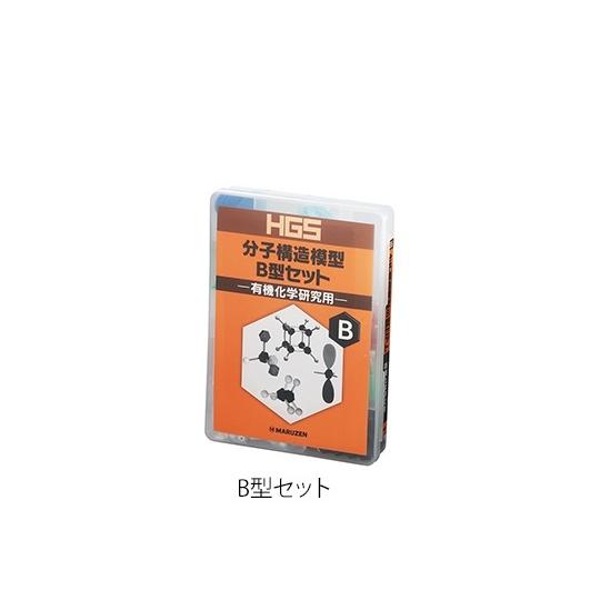 HGS分子構造模型 有機化学研究用 B型セット 丸善  (3-8476-02)