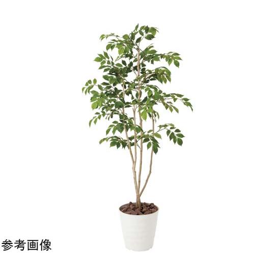 マウンテンアッシュ 1.3 アートクリエイション 424P220 60-2408-02