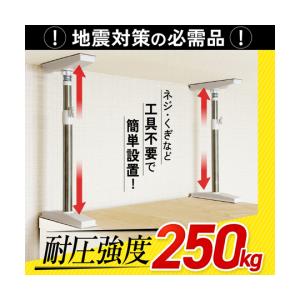ステンレス 家具転倒防止 突っ張り棒 L 1箱 2本入 オムニ OMC-DPEP01L 60-6727-91