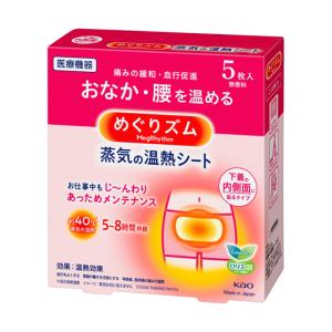 めぐりズム 蒸気の温熱シート 下着の内側面に貼るタイプ 5枚入 花王 60-8063-63