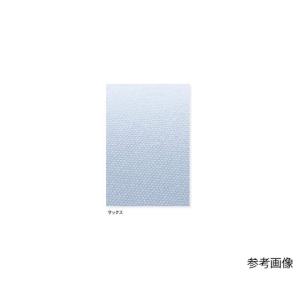 女子ダブル診察衣 ホワイト M ナガイレーベン...の詳細画像3