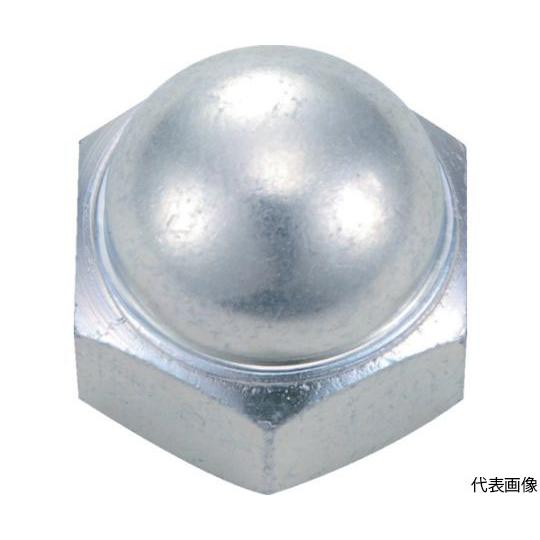 袋ナット 三価白 サイズM10×1.5 9個入 トラスコ中山 B739-0010 (61-2147-...