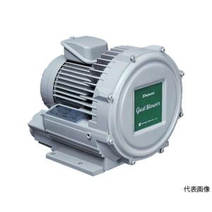 ドリマックス DREMAX 電動マルチスライサー大根おろし機 マルチオロシ