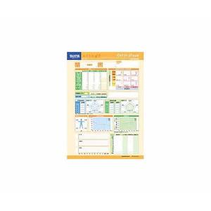 業務用NV−190通常台紙 MC−190用 オレンジ タニタ NV-190