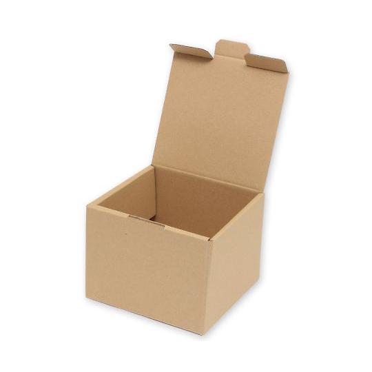 HEIKO 箱 ナチュラルボックス Z-109 10枚 HEIKO 6204109 (62-0969...