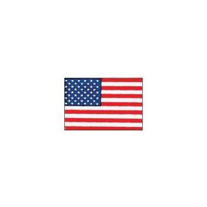 上西産業 エクスラン万国旗 70×105cm アメリカ (62-6317-88)の商品画像