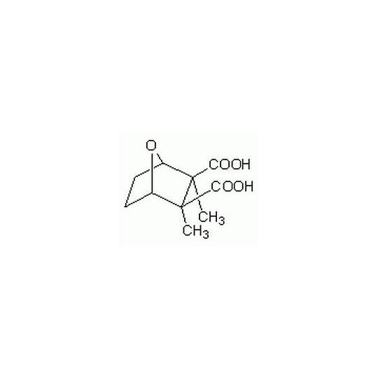 Cantharidic Acid CBC メルク 210150-10MG (62-8411-41)