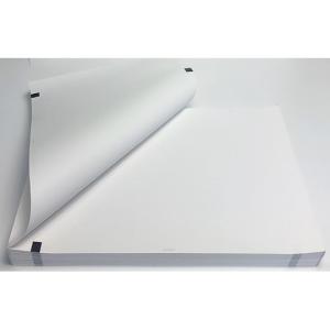 心電図記録紙 幅210mm×長100m/折295mm 折り畳み型・薄手 5冊入 ちばら CP-623U (63-4062-46)