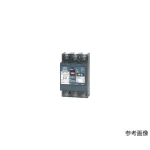 テンパール工業 漏電遮断器 GB-53EC 40A 30MA (63-6341-70)の商品画像