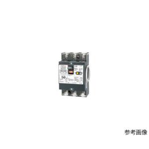 テンパール工業 太陽光発電システム 漏電遮断器 GBU-53EC 50A 30MA 3E (63-6341-81)の商品画像