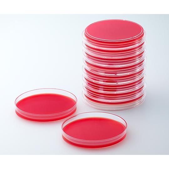 BD BBL TM ヒツジ血液寒天培地 Z 100枚 ベクトン・ディッキンソン 252954 (63...