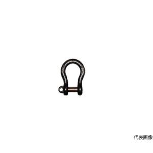 大洋製器工業 TAIYOシャックル 黒 BD-16 (63-9464-69)の商品画像