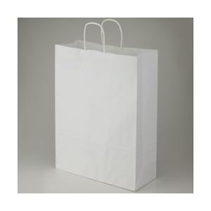 手提げ紙袋 25チャームバッグ カスタム判 晒白...の商品画像
