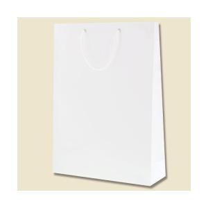 HEIKO 手提げ紙袋 ブライトバッグ KA 白 10枚 006137801 (64-0926-32)の商品画像