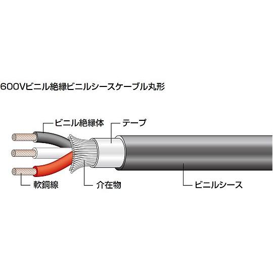 600Vビニル絶縁ビニルシースケーブル丸形 50m 行田電線 VV-R 5.5SQX2C (64-6...