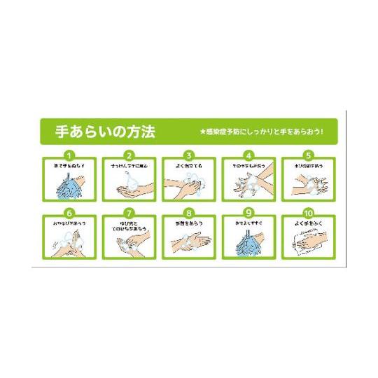 TA-01 手洗いの方法 ポリセーム 300x600 グリーンクロス 6300004284 (64-...
