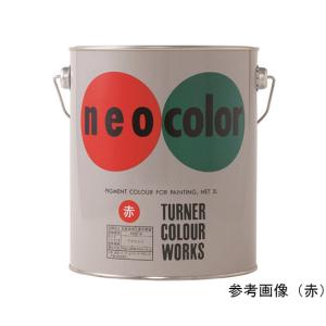 ターナー色彩 ネオカラー 黒 C色3L NC00331 (64-8617-24)の商品画像