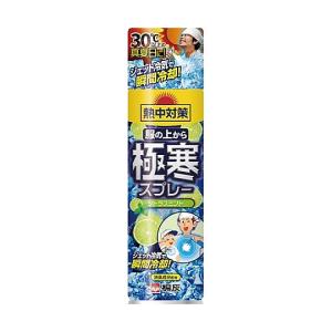 桐灰化学 熱中対策服の上から極寒体スプレー シトラス 603066 (65-0376-74)の商品画像