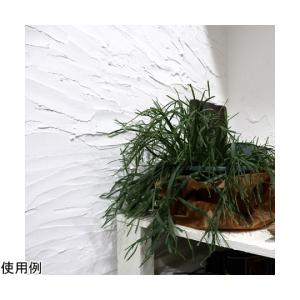 100%オーガニックしっくい DIY NURI...の詳細画像2