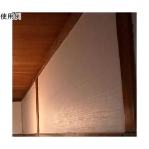 100%オーガニックしっくい DIY NURI...の詳細画像3