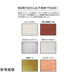 100%オーガニックしっくい DIY NURI...の詳細画像5