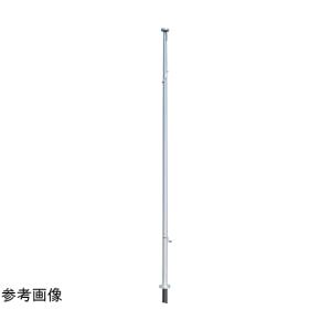 フラッグポール ハンドル型テーパーポール特別仕様 埋込式 H5m サンポール FHH-5HU (65-1802-73)の商品画像
