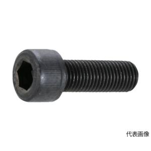 六角穴付ボルト 細目 スチール (SCM435) 黒染め M10×25 P1.25 16本入 B150-1025P1.25の商品画像