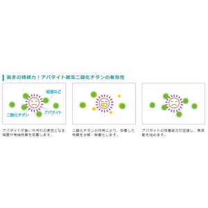 ファーストグリストラップクリーナー 1L 20...の詳細画像2