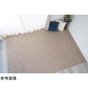 ピースカーペット サウンドヘイズ 江戸間4.5帖 ベージュ スミノエ 13137875 (65-3427-97)の商品画像