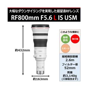 RFレンズ RF800mm キヤノン RF80...の詳細画像1