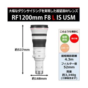 RFレンズ RF1200mm キヤノン RF1...の詳細画像1
