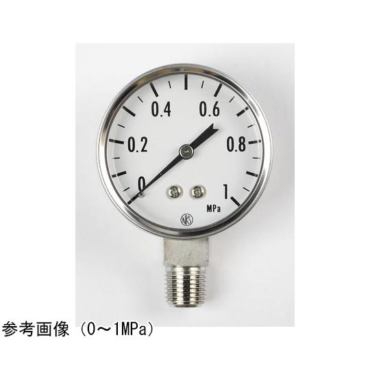 長野計器 SUS製小型圧力計 50Φ 25MPa GK33-173 (65-4317-20)