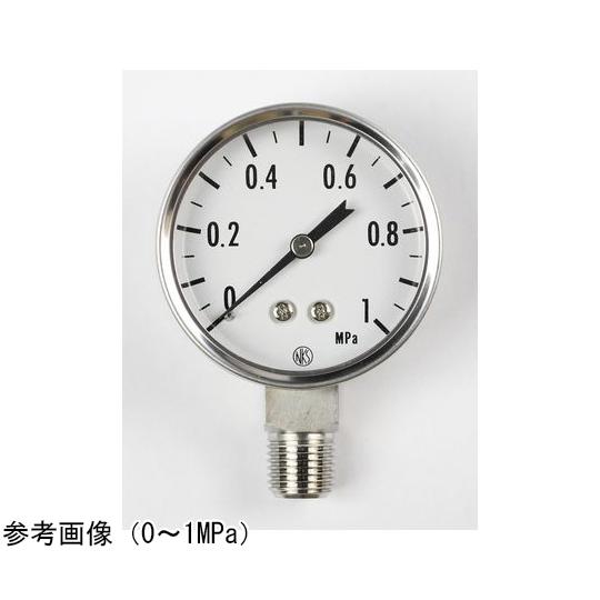 SUS製小型圧力計 50Φ 2MPa 長野計器 GK33-173 (65-4317-21)