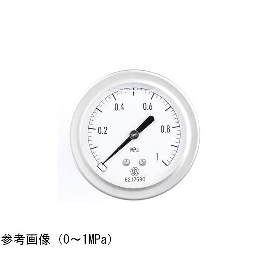 長野計器 グリセリン入圧力計 60Φ 6MPa GV55-123 (65-4325-32)