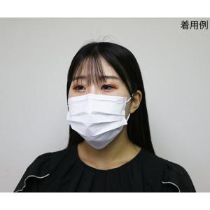 不織布マスク ふつうサイズ 個包装 50枚入 ...の詳細画像1