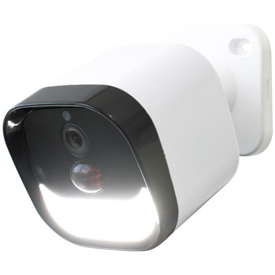 LEDセンサーライト付ワイヤレス防犯カメラ 大進 DLA-RD300-SL (65-8101-03)