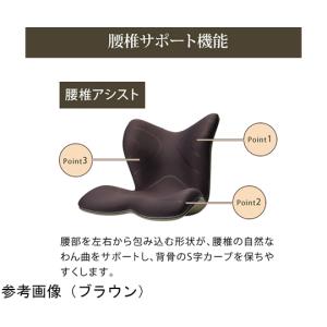 Style PREMIUM ブラウン MTG ...の詳細画像3