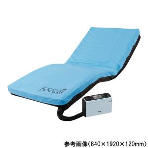マイクロクライメイト ネクサス アイビー 900...の商品画像