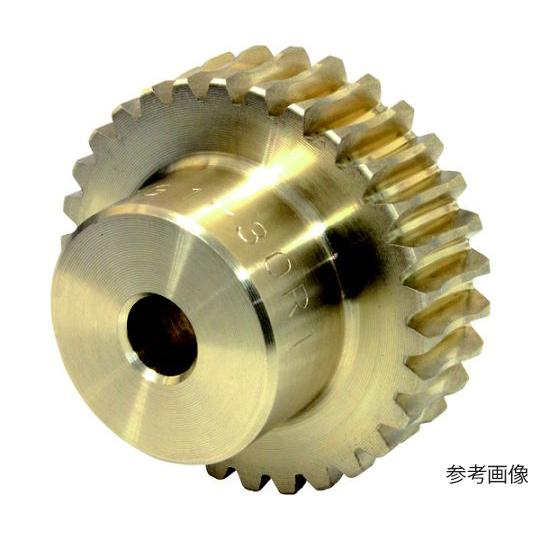 ウォームホイール 小原歯車工業 AG0.8-50R1 (67-2350-23)