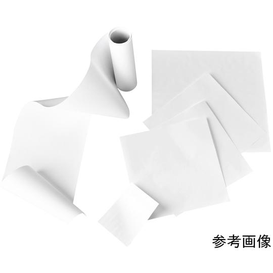 トランスファーメンブレン PVDF 70×84mm シート サポートあり 0.45μm 10pc G...