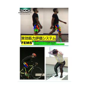 実効筋力評価システム FEMS 計算力学研究センター (67-3071-66)